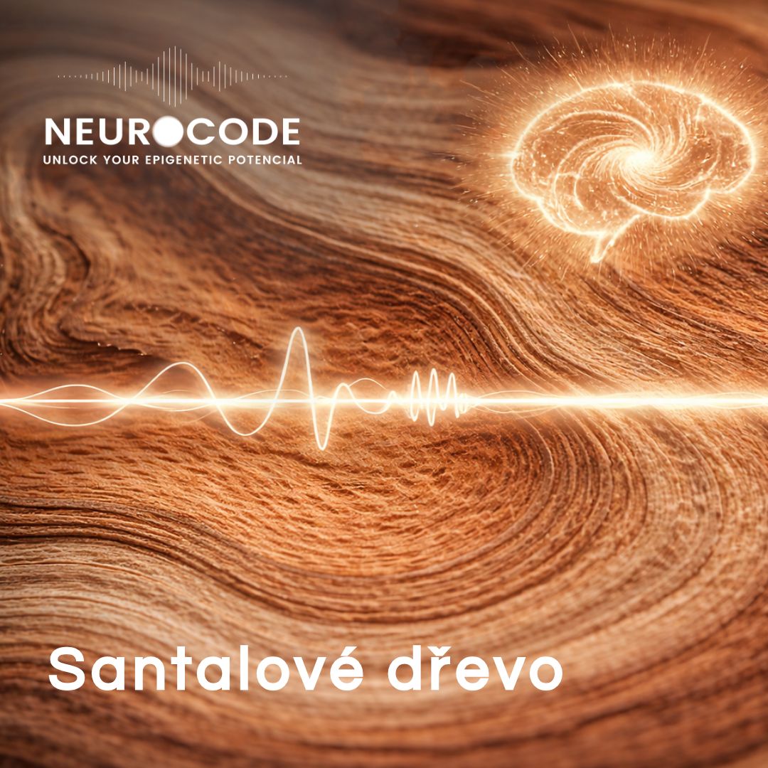 Santalové dřevo